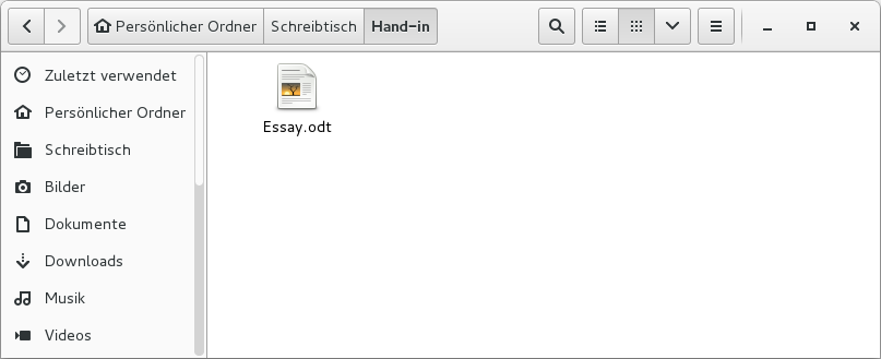../_images/example-hand-in.png